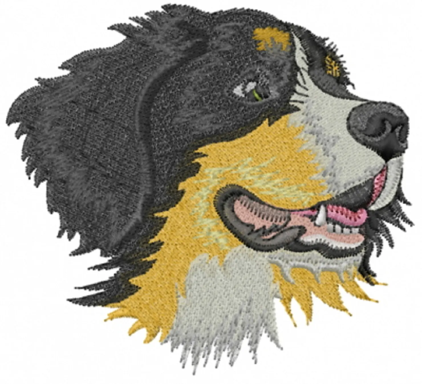 Appliqué embroidery digitizing